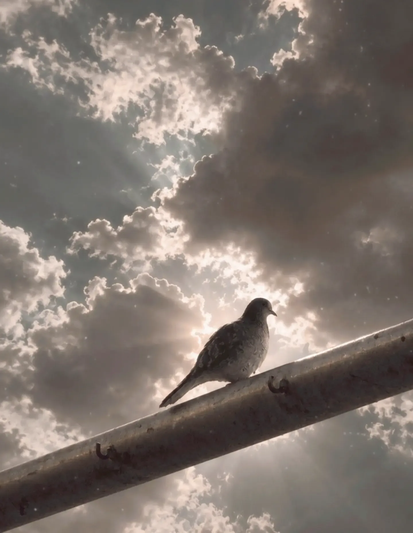 Pombo pousado em um tubo metálico inclinado, contra um céu de nuvens escuras com raios de luz.